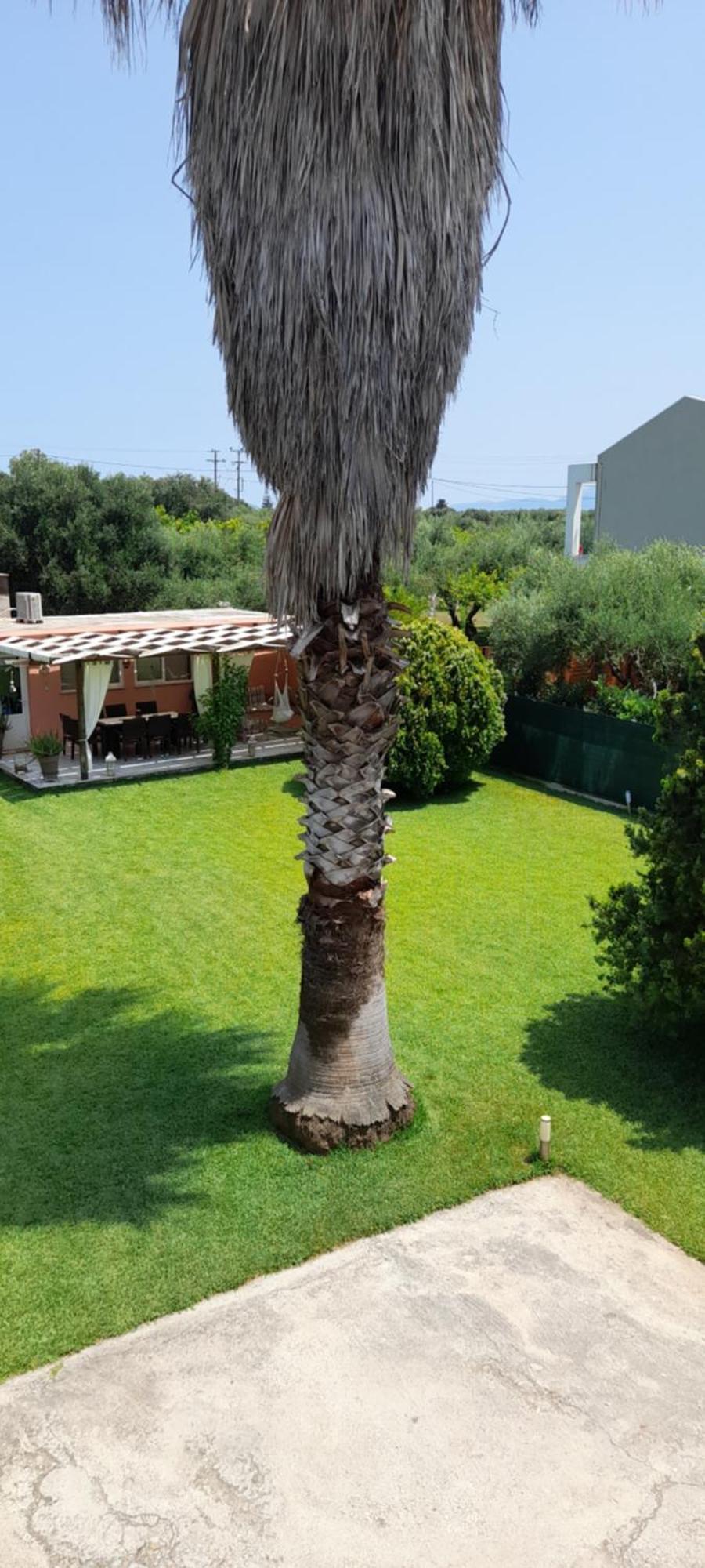 Villa Oneiropagida Preveza Exteriör bild