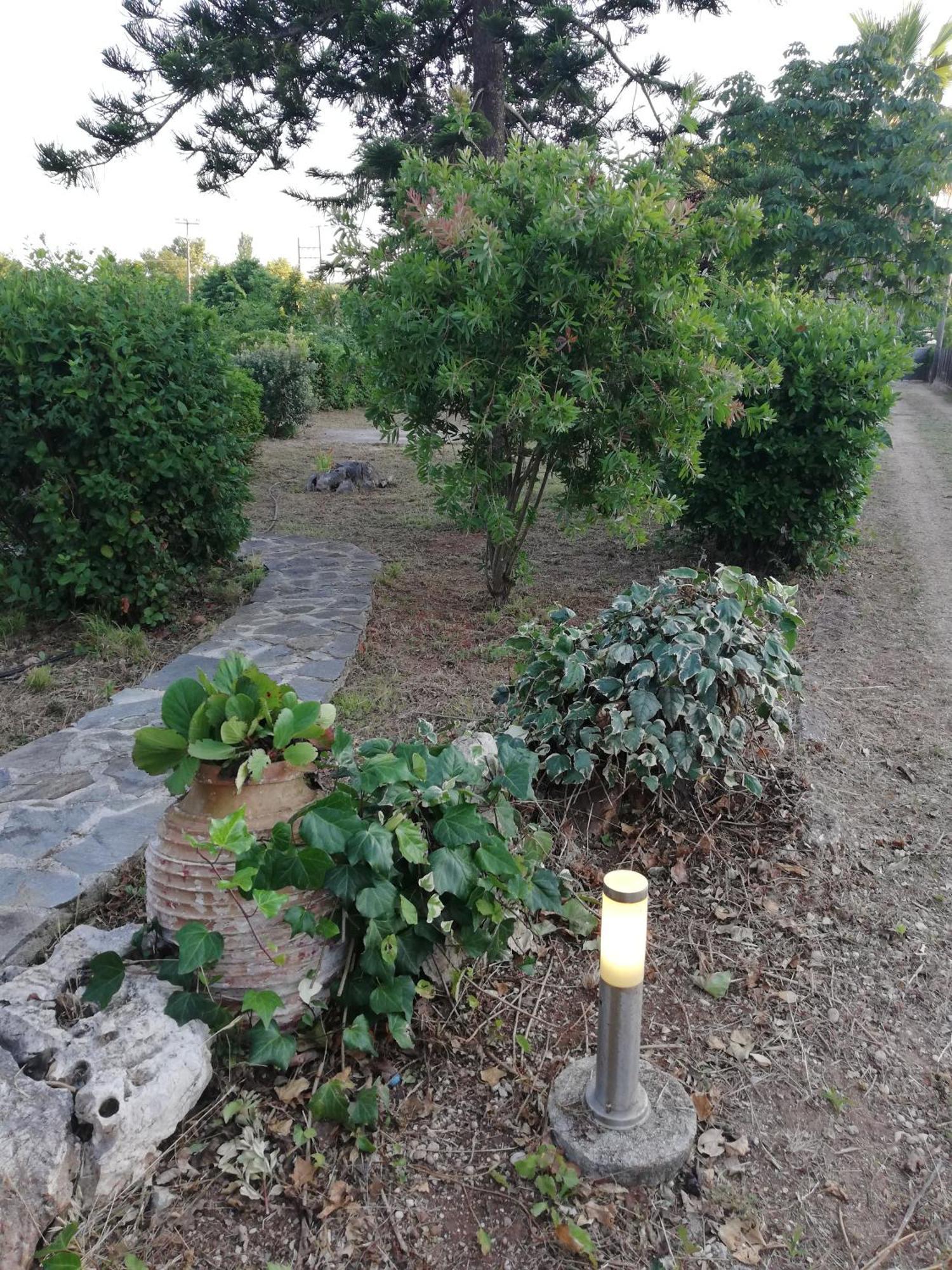 Villa Oneiropagida Preveza Exteriör bild